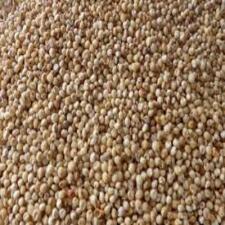 Cholam சோளம் Sorghum Millet 1kg